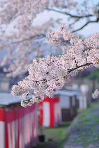 季節の彩り